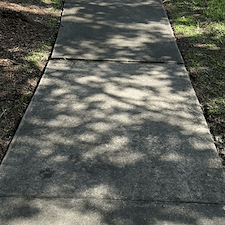 Sidewalk, Paver, and Driveway Pressure Washing in Winter Park, FL 3